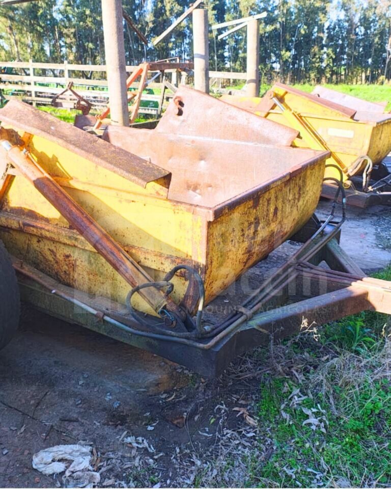 WhatsApp Image 2025-07-15 at 21.32.53 (1)