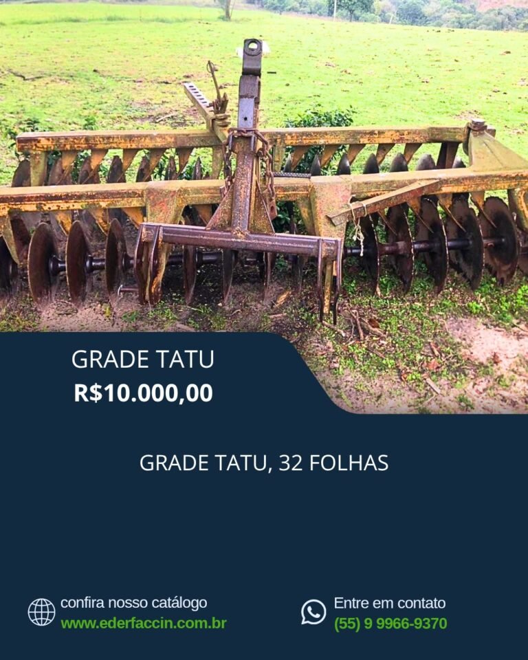 WhatsApp Image 2025-07-21 at 14.12.29 (1)