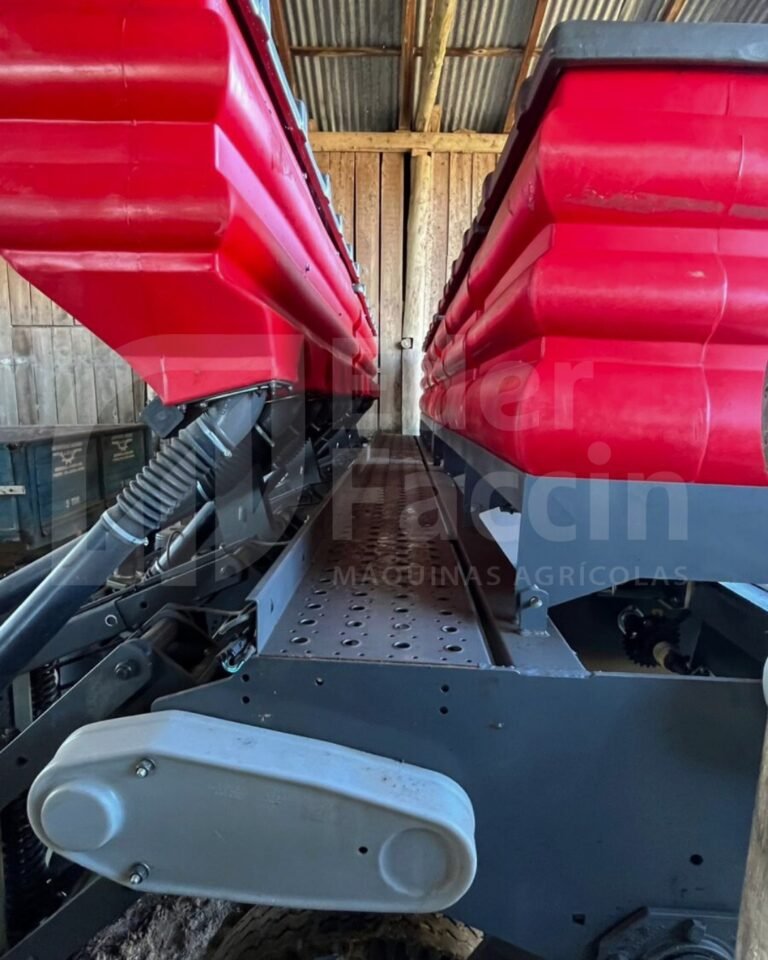 WhatsApp Image 2025-07-31 at 14.16.41