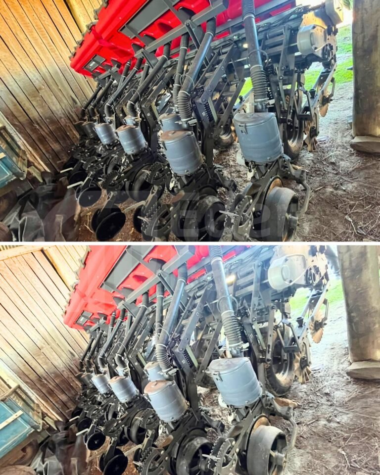 WhatsApp Image 2025-07-31 at 14.16.42 (1)