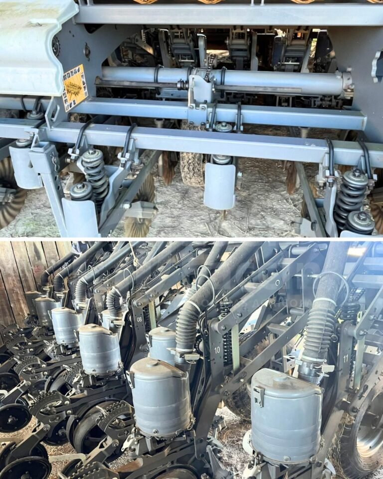 WhatsApp Image 2025-07-31 at 14.16.42