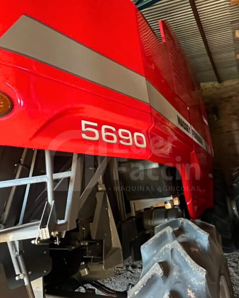 WhatsApp Image 2025-07-31 at 14.31.35 (1)