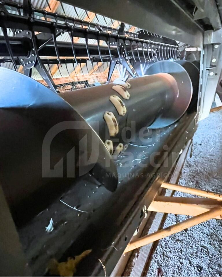 WhatsApp Image 2025-07-31 at 14.31.37 (2)