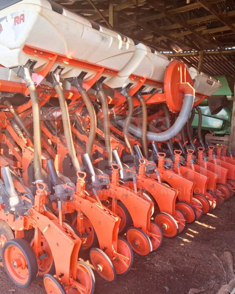 WhatsApp Image 2025-08-04 at 08.28.48