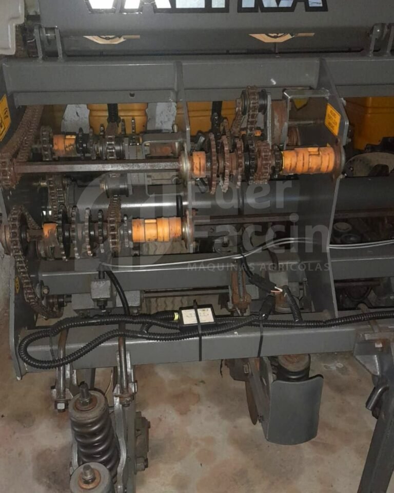 WhatsApp Image 2025-08-04 at 14.00.27