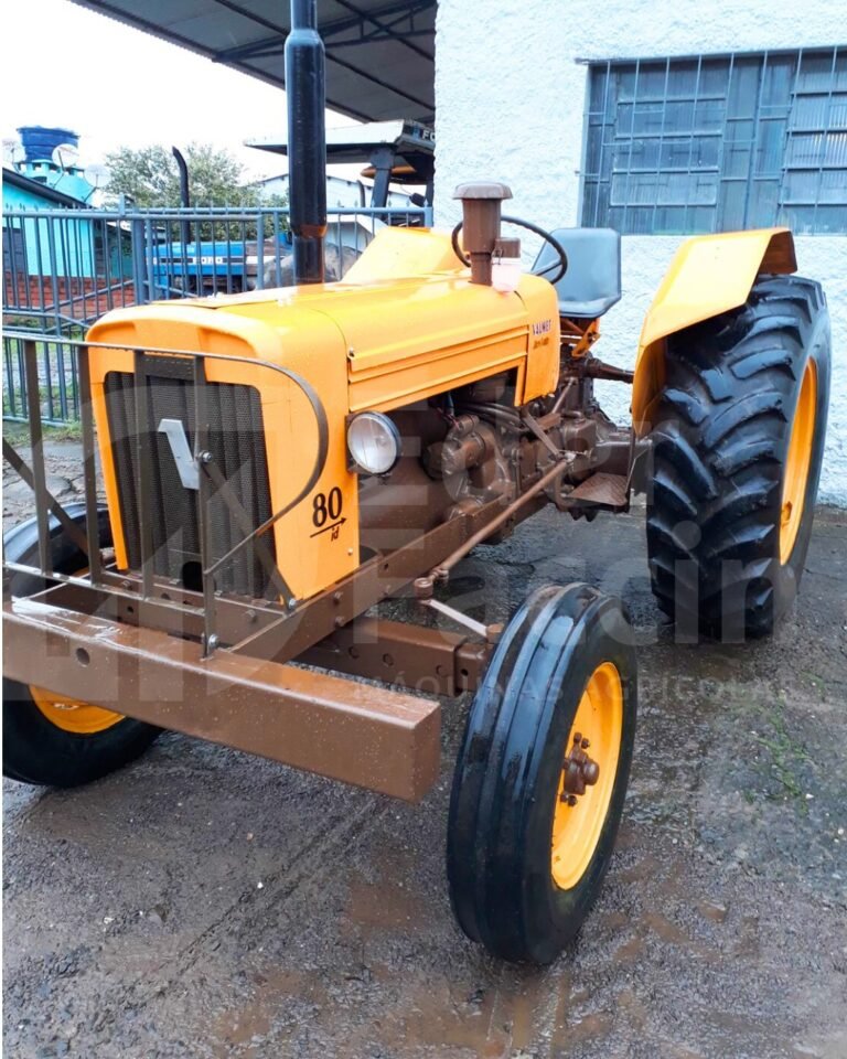 WhatsApp Image 2025-08-04 at 15.51.55 (1)