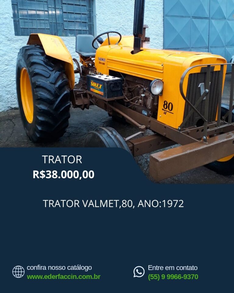 WhatsApp Image 2025-08-04 at 15.51.55