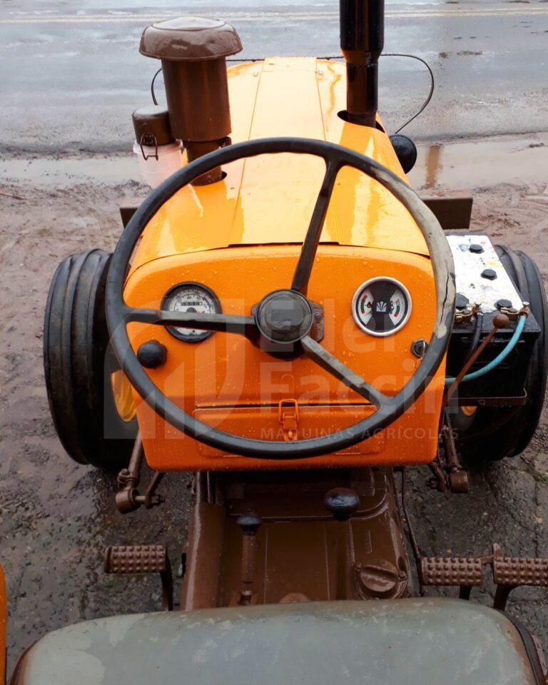 WhatsApp Image 2025-08-04 at 15.51.56 (1)