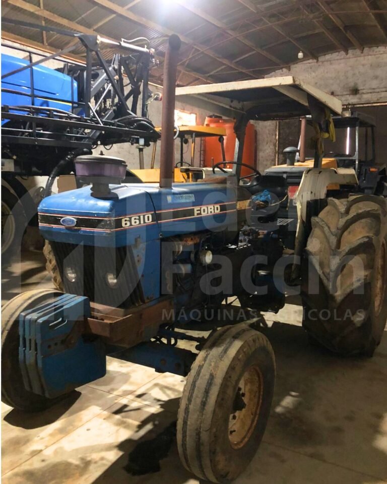 WhatsApp Image 2025-08-04 at 16.09.43 (1)