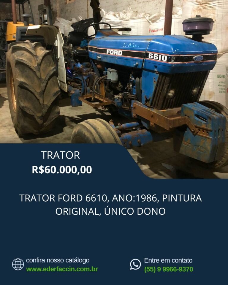 WhatsApp Image 2025-08-04 at 16.09.43