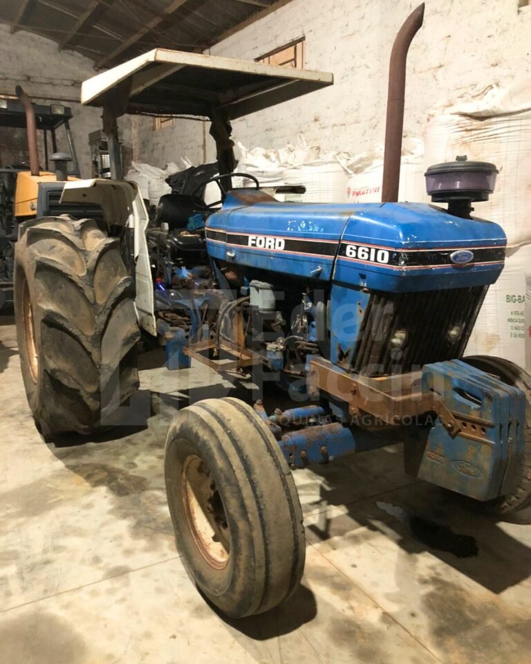 WhatsApp Image 2025-08-04 at 16.09.45