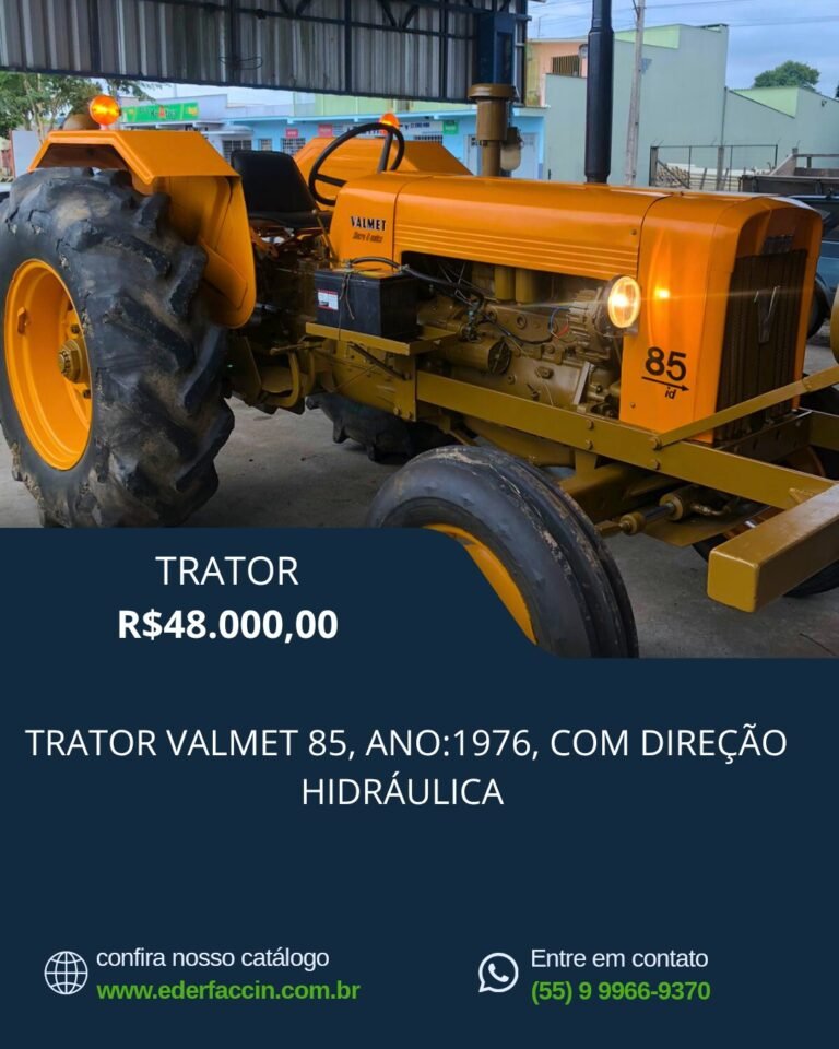 WhatsApp Image 2025-08-04 at 16.36.53