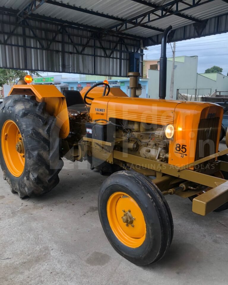 WhatsApp Image 2025-08-04 at 16.36.55