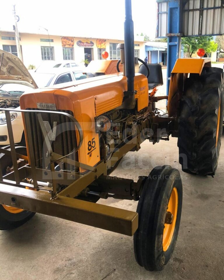 WhatsApp Image 2025-08-04 at 16.36.56