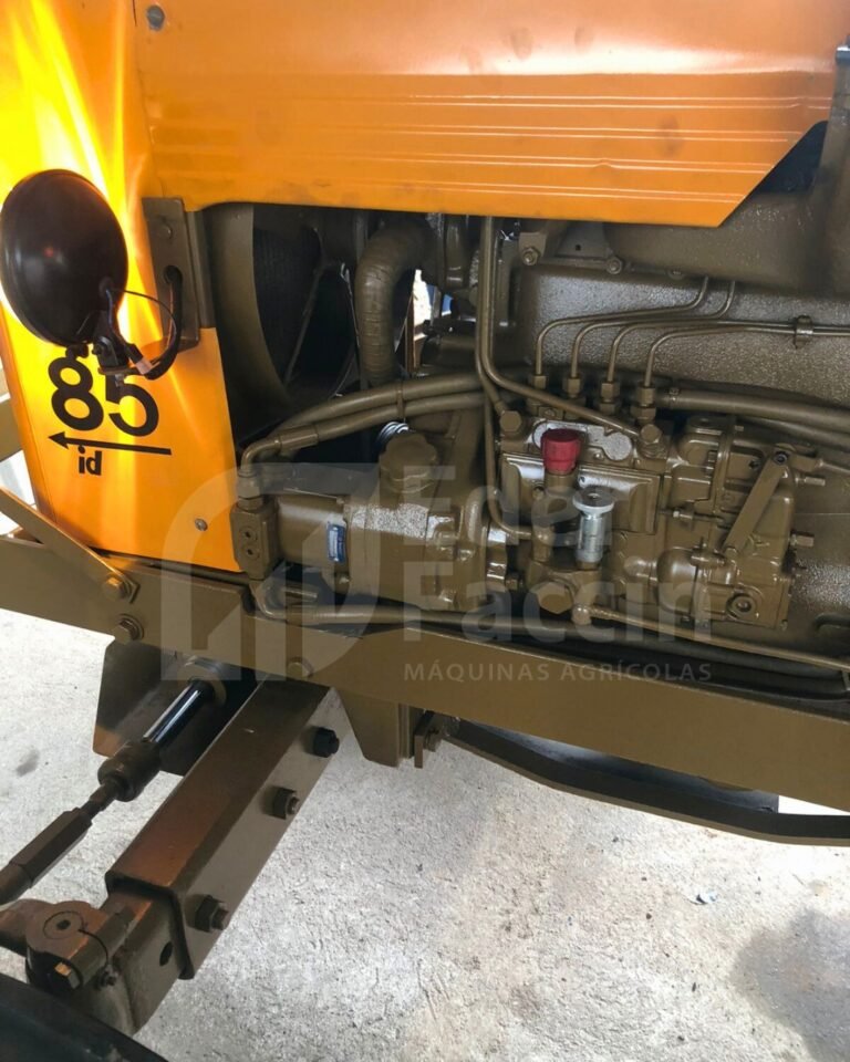 WhatsApp Image 2025-08-04 at 16.36.58 (1)