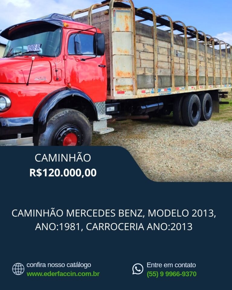 WhatsApp Image 2025-08-08 at 20.54.54