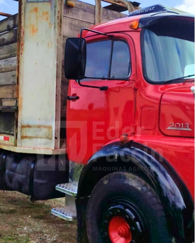 WhatsApp Image 2025-08-08 at 20.54.55