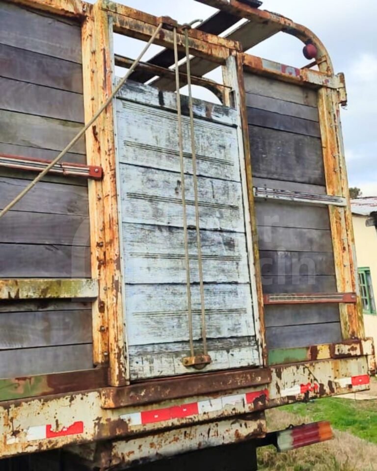 WhatsApp Image 2025-08-08 at 20.54.57 (1)