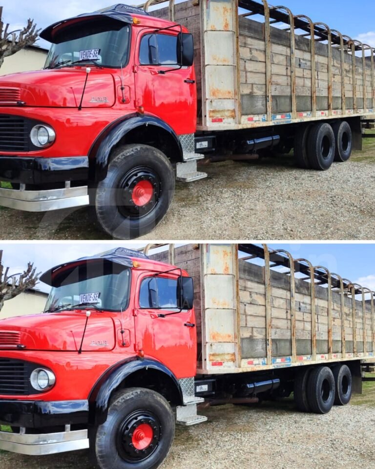 WhatsApp Image 2025-08-08 at 20.54.57