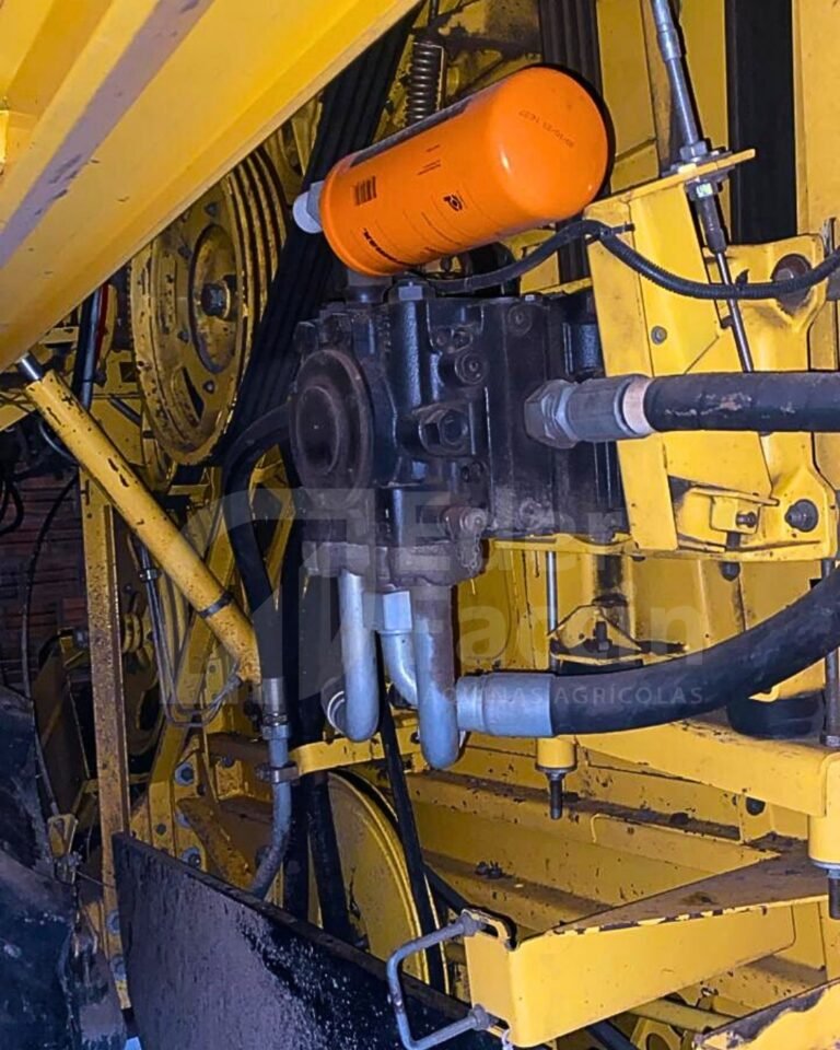 WhatsApp Image 2025-08-11 at 19.31.22 (1)