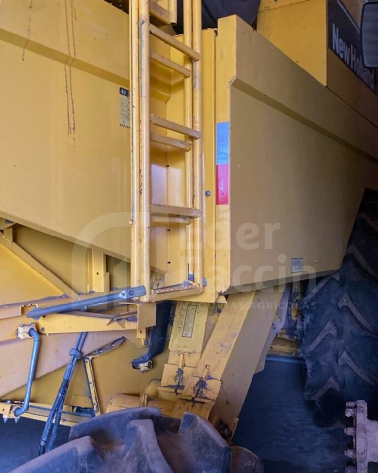 WhatsApp Image 2025-08-11 at 19.31.22