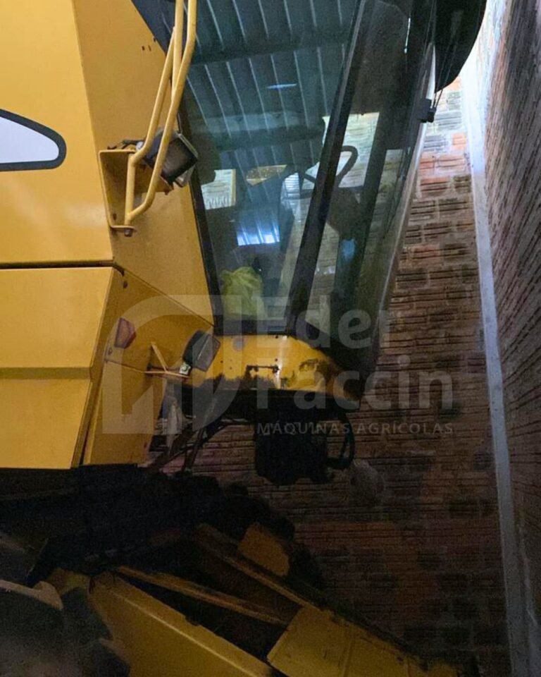 WhatsApp Image 2025-08-11 at 19.31.26