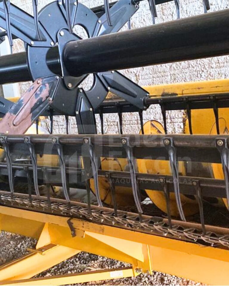 WhatsApp Image 2025-08-11 at 19.31.30