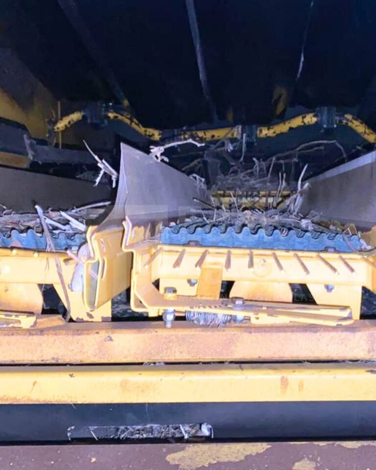 WhatsApp Image 2025-08-11 at 19.31.31 (1)