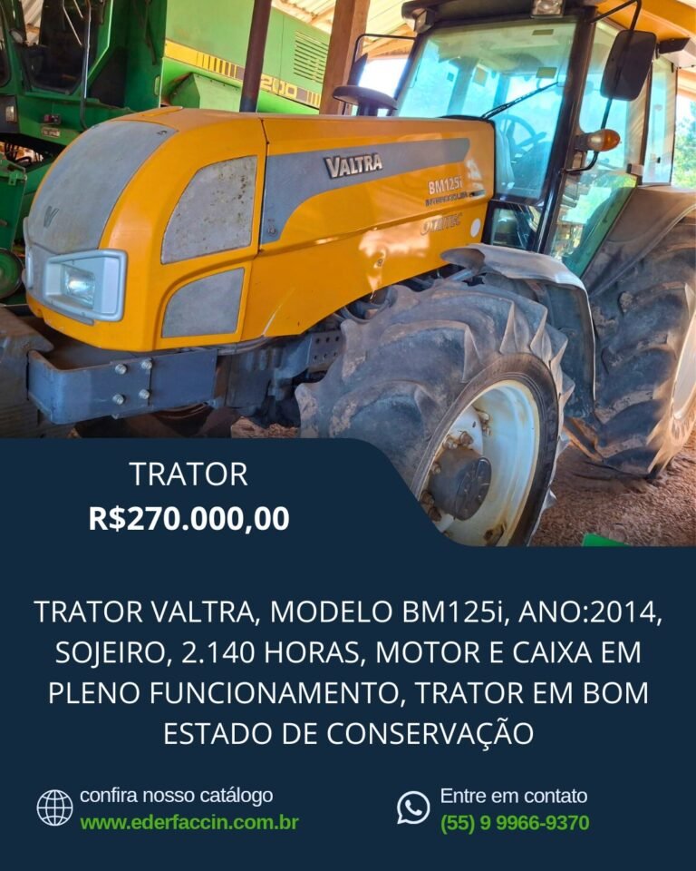 WhatsApp Image 2025-08-12 at 12.59.19