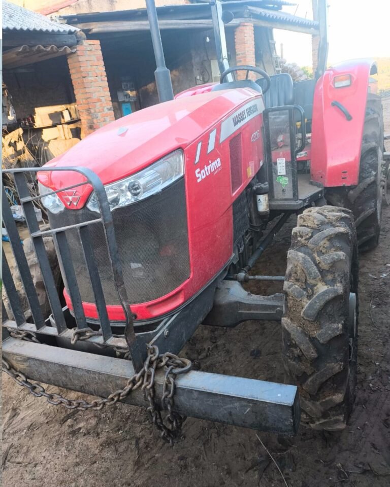 WhatsApp Image 2025-08-12 at 13.42.08