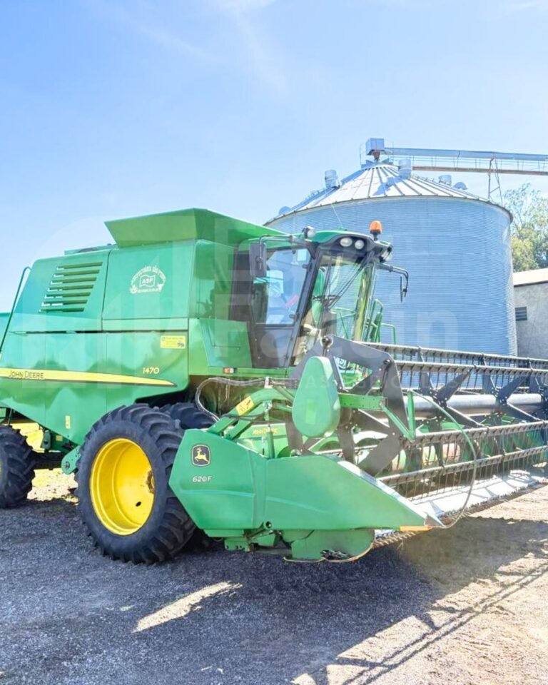 WhatsApp Image 2025-08-13 at 10.29.40 (1)