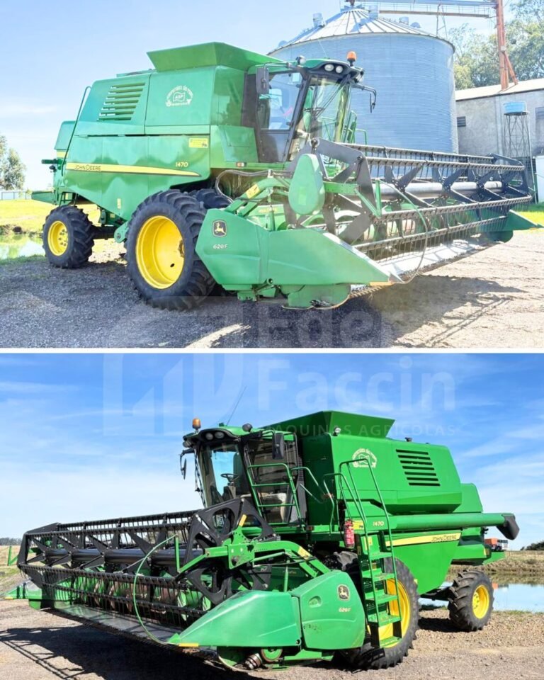 WhatsApp Image 2025-08-13 at 10.29.44