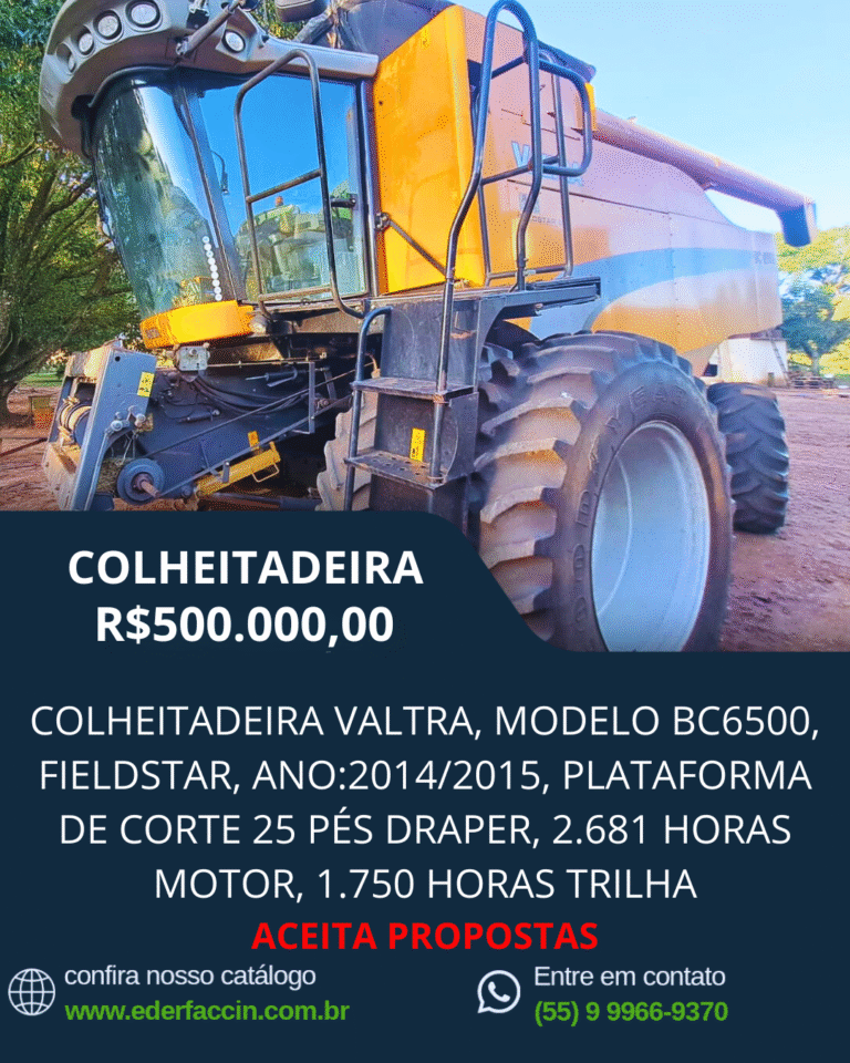 Template Éder Faccin (21)