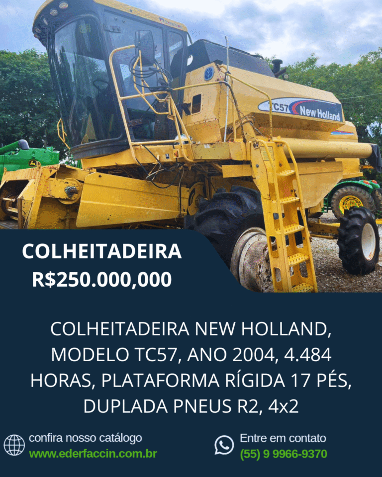 Template Éder Faccin (21)