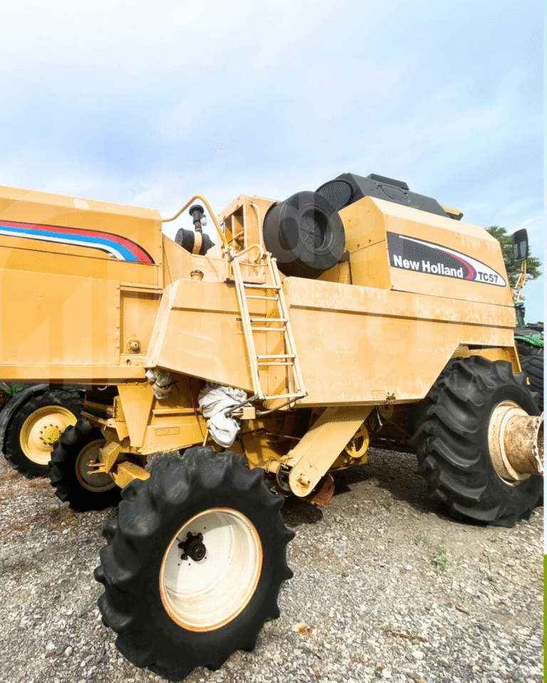 Template Éder Faccin (22)