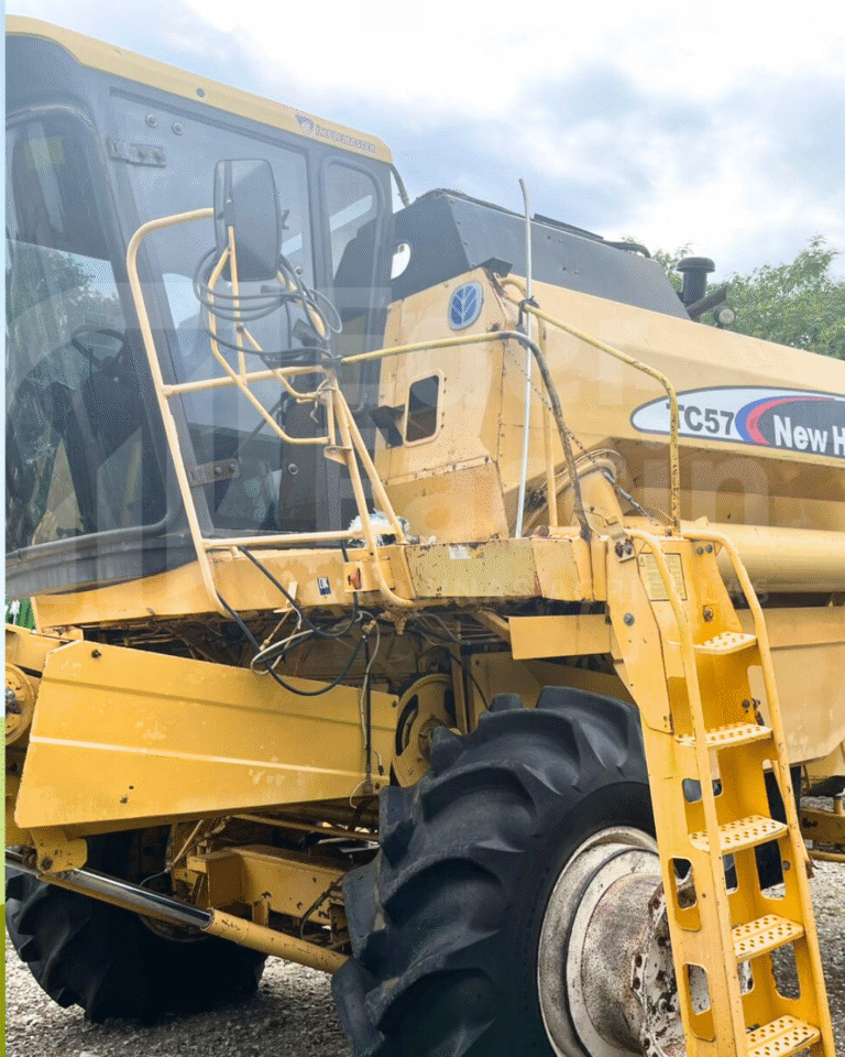 Template Éder Faccin (24)