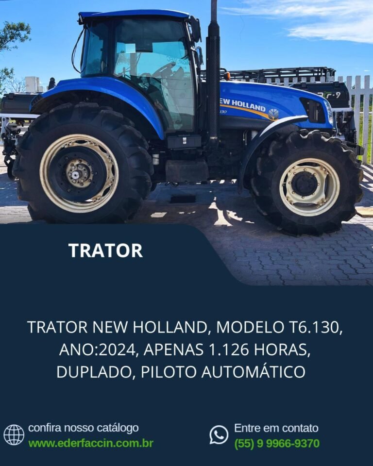 WhatsApp Image 2025-12-30 at 16.52.05